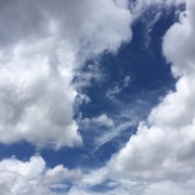 IMG_2960